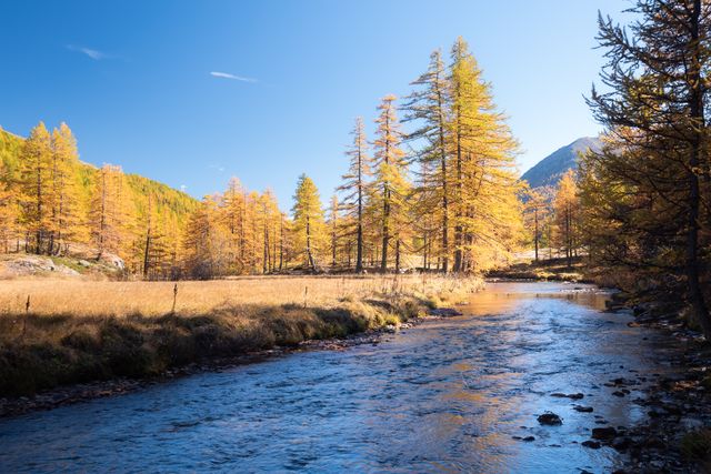 Vallée de la Clarée